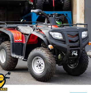 چهار چرخ پرواز 250cc