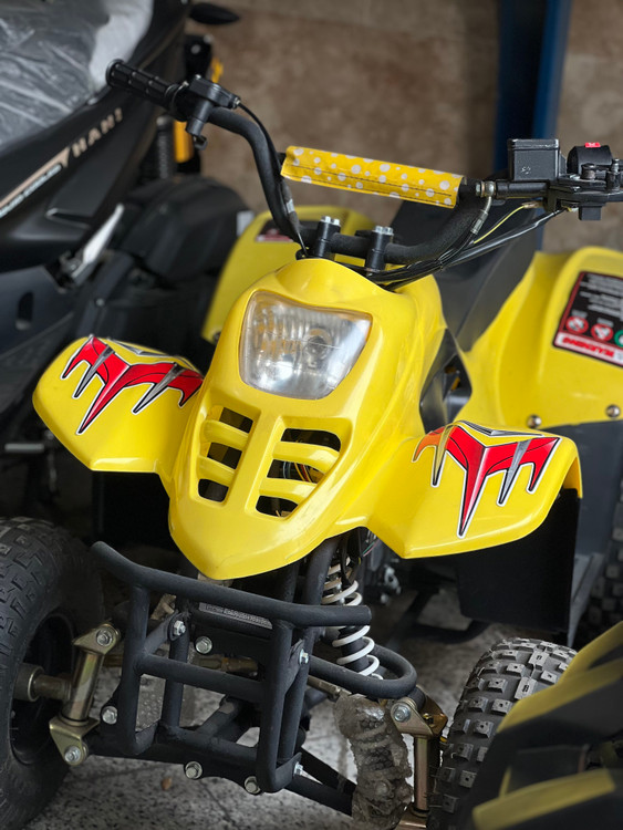 چهار چرخ 110 سی سی